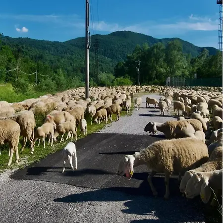 شقة Relax Al Torrente Delle Prealpi Giulie *