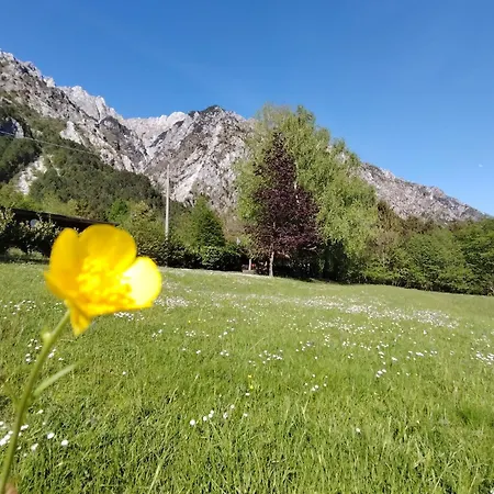 Relax Al Torrente Delle Prealpi Giulie Pradielis