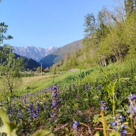 Relax Al Torrente Delle Prealpi Giulie Pradielis