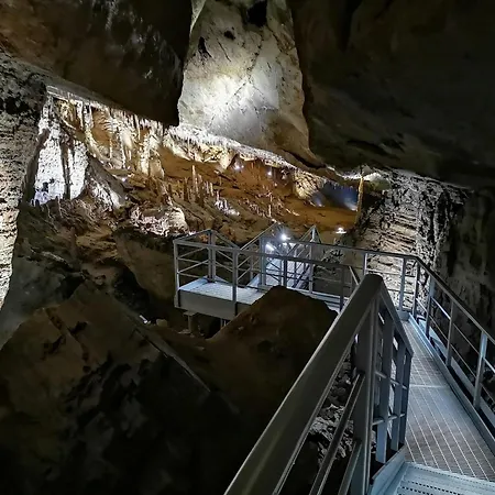 شقة Relax Al Torrente Delle Prealpi Giulie Pradielis