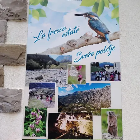 شقة Relax Al Torrente Delle Prealpi Giulie *